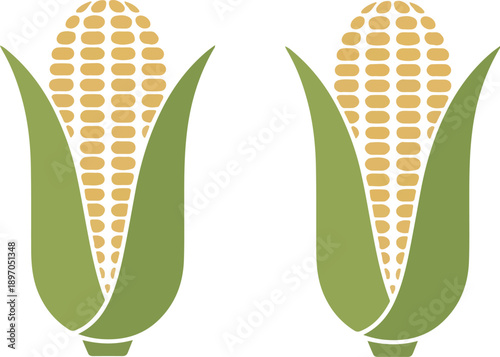 Fresh Corn on the Cob Vector Icon