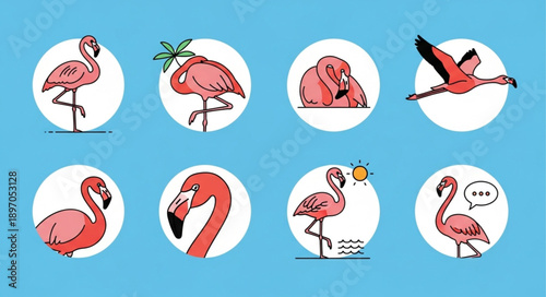 Collection of Pink Flamingos in Various Poses and Activities.