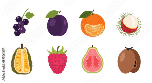 Assorted colorful fruits illustration