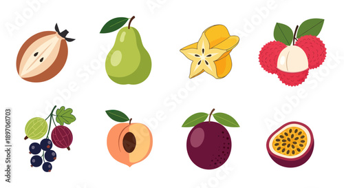 Assorted tropical fruit collection illustration