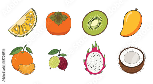 Assorted tropical fruit collection illustration