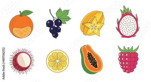 Assortment of colorful tropical fruit illustrations