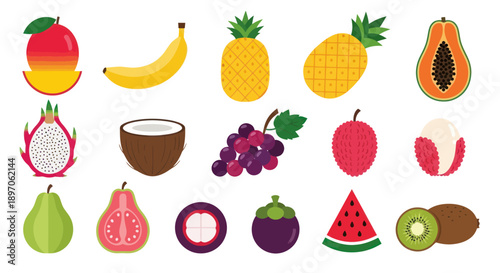 Assortment of colorful tropical fruit illustrations