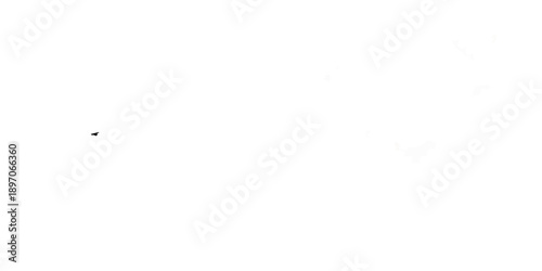 A black screen with a small blurred white shape resembling a bird