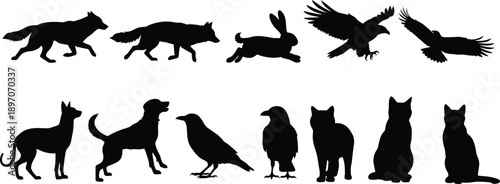 Silhouettes of various animals in profile and profile view