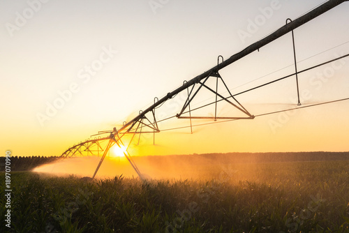 Photography Agricultural watering pivot irrigation system on a corn field at sunset