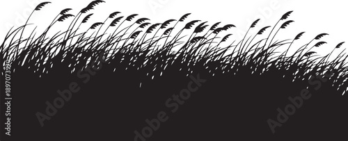 Black Silhouette of Grass and Plants on White Background