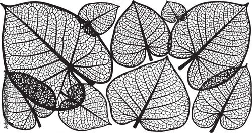 Intricate black and white illustration of detailed leaves pattern