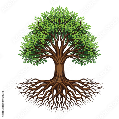 A detailed illustration of a large, mature tree with extensive roots spreading outwards.