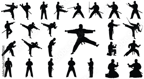 Martial Arts Karate and Fighting Silhouette Set
