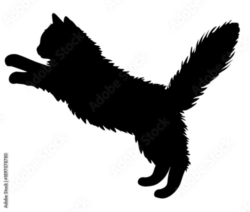 Playful cats silhouettes. Jumping black cat in playful motion. Illustration black cat silhouette isolated on white. The fluffy cat stood up on its hind legs.