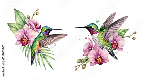 Watercolor illustration of hummingbirds with pink orchid flowers and green leaves