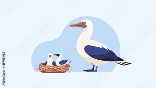 Family of seabirds with chicks in nest, parent watching over