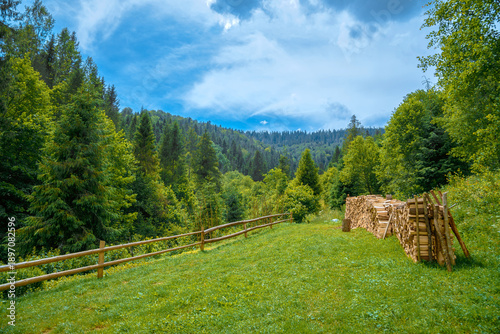 Peaceful woodland clearing with firewood stack and wooden fence under blue sky