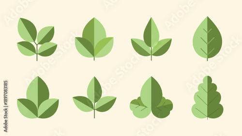 Eight stylized green leaves in different shapes on a pale background