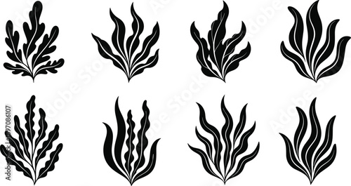 Seaweed and marine plant silhouettes set, underwater ocean algae shapes in black vector style for aquatic, nature, and coastal design projects
