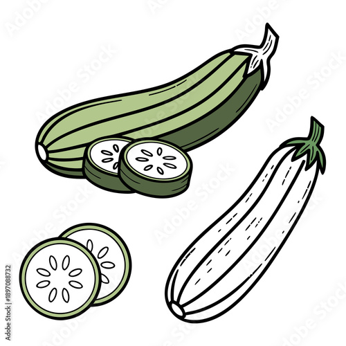 collection of vegetables