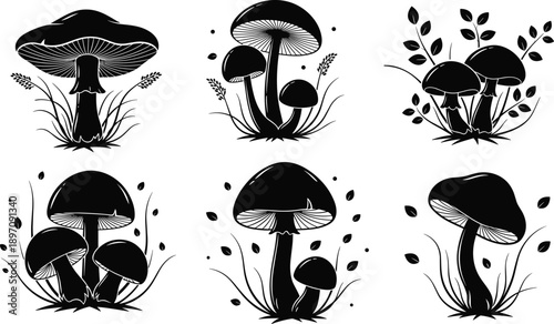 Focused young student studying with laptop at library desk, preparing for university exam with textbooks and notebooks in modern classroom.