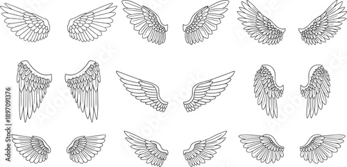 Angel wings line illustration set with detailed feathered wing designs for tattoo art fantasy character spiritual symbol and decorative graphic design use