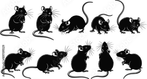 Natural organic skincare products with green herbal leaves on white background, beauty treatment concept, eco friendly cosmetic bottles, wellness, spa