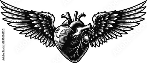 black and white anatomical heart with detailed wings spread wide, symbolizing freedom and strength