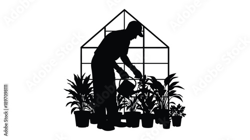 a gardener tending plants inside a greenhouse structure silhouette