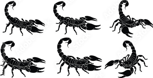 Scorpion silhouette set, black arachnid with poisonous tail and claws, dangerous animal vector collection, isolated on white background
