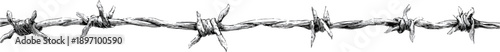 Barbed wire, vector line art on a transparent background