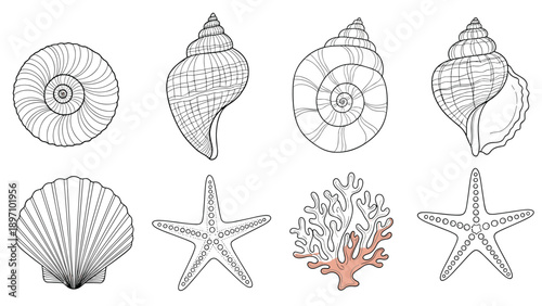 Nautical set of hand-drawn seashells, starfish, and coral line art provides a versatile collection of marine life elements for coastal designs.