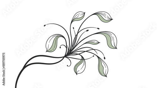 Artistic swirl plant illustration features graceful black vines and pale green leaves for an elegant and minimalist botanical graphic element.