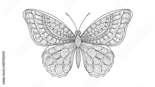 Intricate butterfly line art drawing with detailed patterns on its wings offers a beautiful subject for coloring pages and creative art.