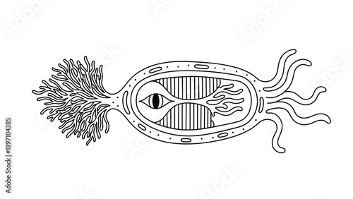 Unique black and white line art depicting a strange biological organism or micro-creature with tentacles and an eye.