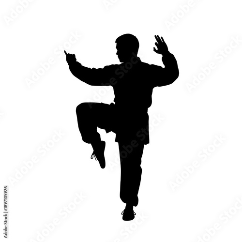 Silhouette of a martial artist in action pose.