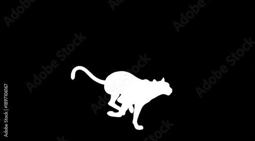 video footage silhouette running cheetah