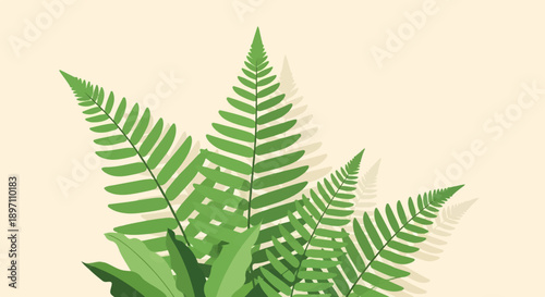 Green fern fronds with soft shadow effects on a light beige background