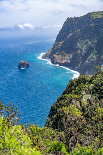 Cliffs at the sea on Madeira island with flowers in foreground