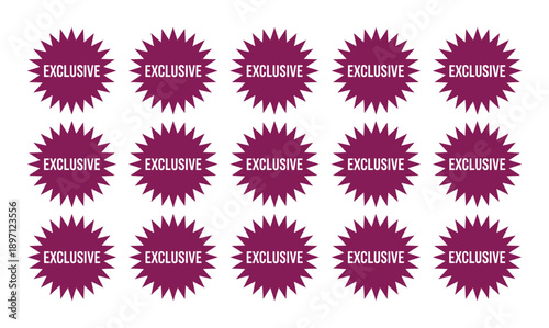 Exclusive tag collection banner design for marketing promotion label vector graphic