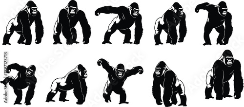 Gorilla silhouettes collection poses wild animal primate set black isolated illustration safari wildlife design