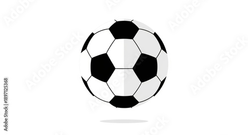 Classic Black and White Soccer Ball Illustration
