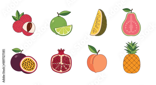 Assorted colorful tropical fruit illustrations