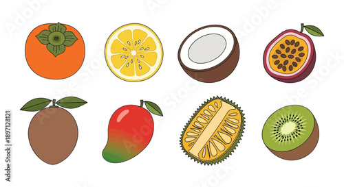 Assorted tropical fruit illustrations