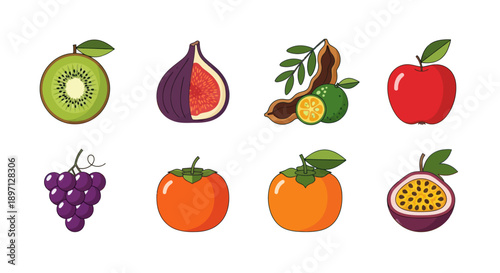 Assortment of colorful fruit illustrations