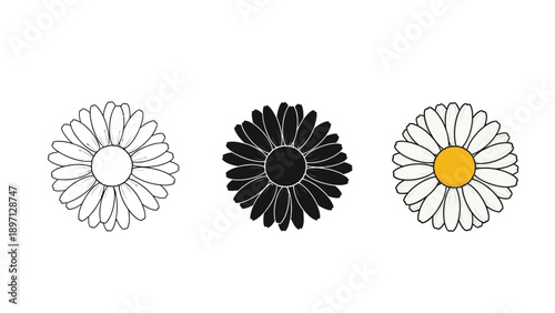 Set of three daisy flower icons outline, solid black, and color with yellow center