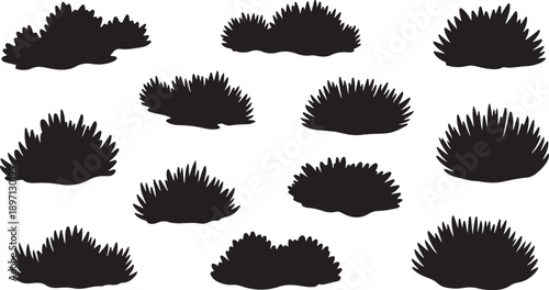 Black hedgehog silhouettes on white background illustration design