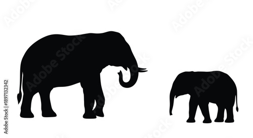 Two elephants depicted in a striking black shape silhouette