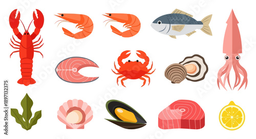 Assortment of seafood illustrations