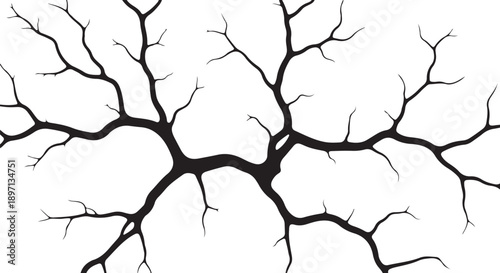 Black tree branches on white background illustration design element
