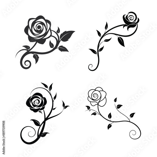 Rose Vine Decorative Scroll Vector Floral Ornament Isolated on White Background