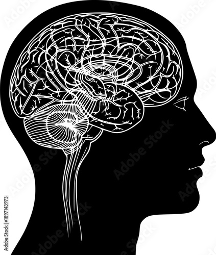 Human head profile silhouette with brain anatomy for neurology science and mental health cognition – Black and White Vector Illustration