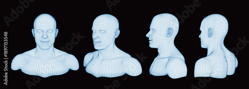 D wireframe mesh of digital human head and bust from multiple perspectives. Artificial intelligence, facial recognition technology, and biometric scanning data visualization concept
